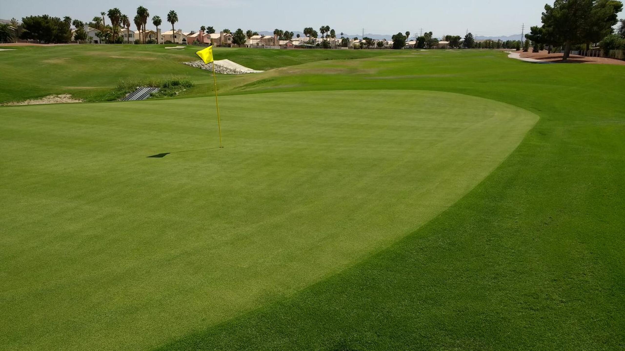 (Photo submitted by Glenn2988104 on 09/06/2017)