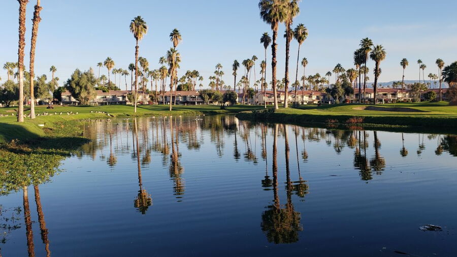 Mesquite GCC