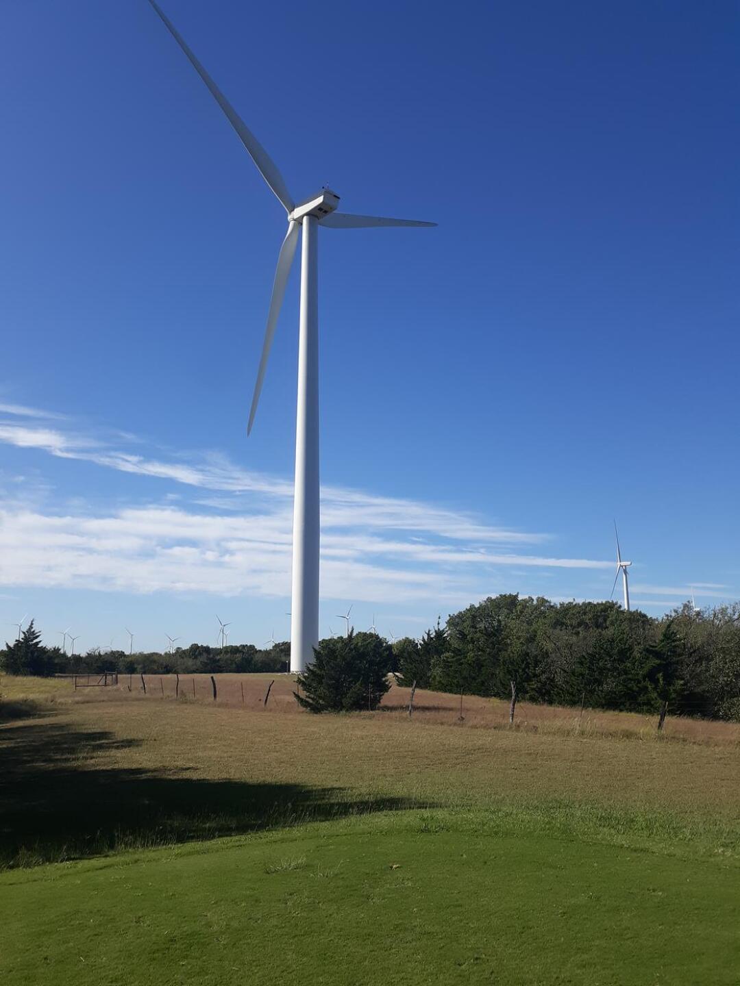 (Photo submitted by x4fqLwyB1PqNmG07MyRt on 10/14/2020)