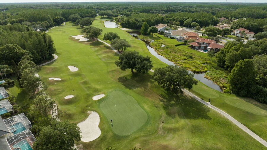 TPC Tampa Bay: #12, #16
