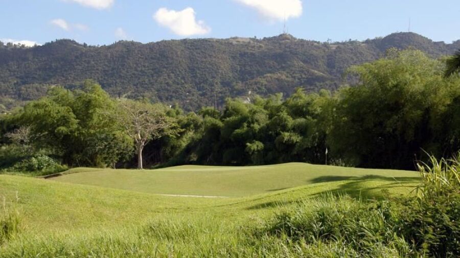 Las Bambuas GC: #4