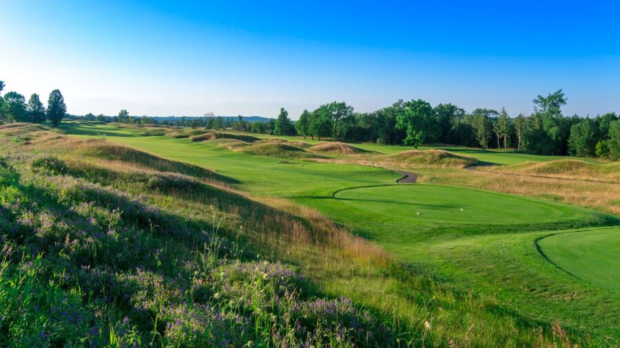 TPC Toronto at Osprey Valley - Heathlands: #4