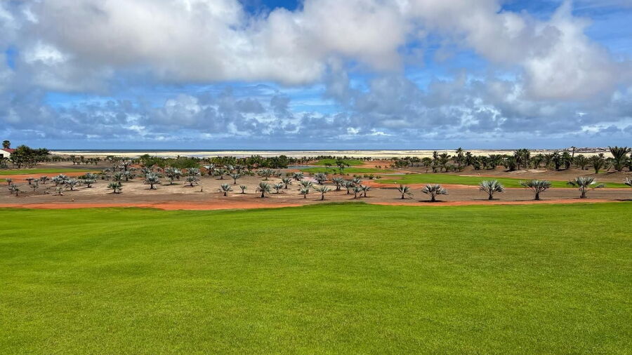 Viveiro GCC