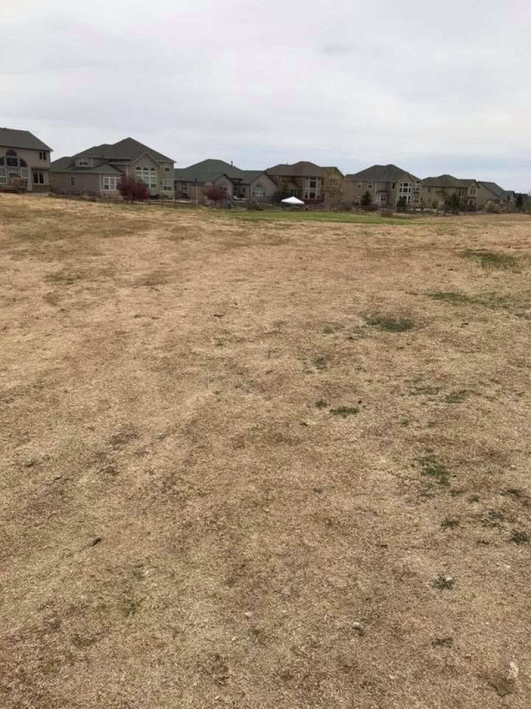 Fairway (Photo submitted by ScottHallas on 05/07/2018)