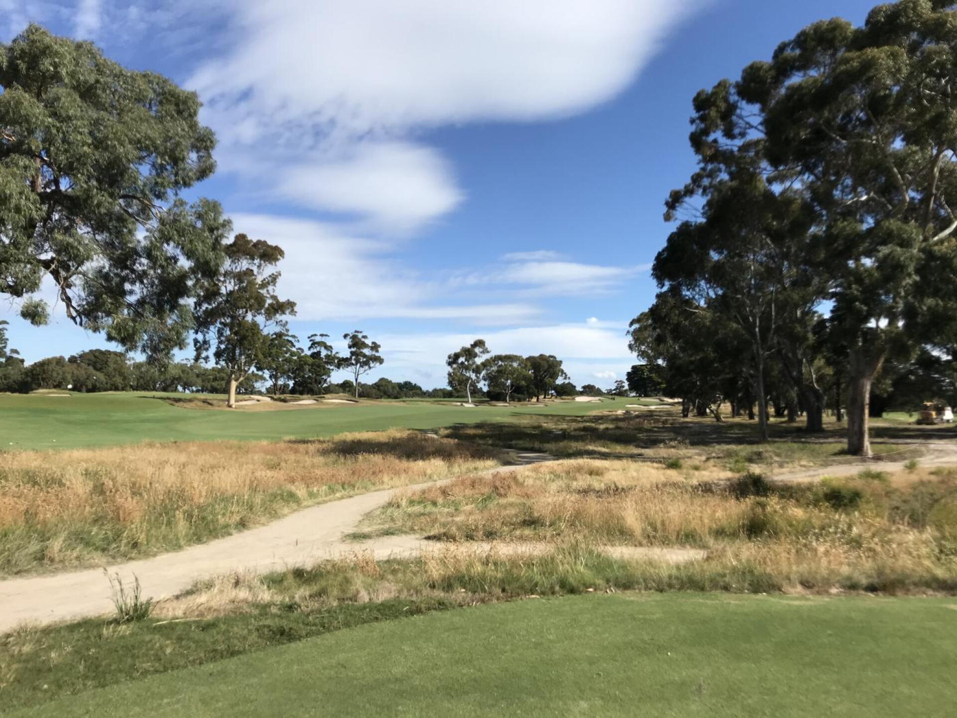 11th from the tee (Photo submitted by u8176243 on 12/21/2020)