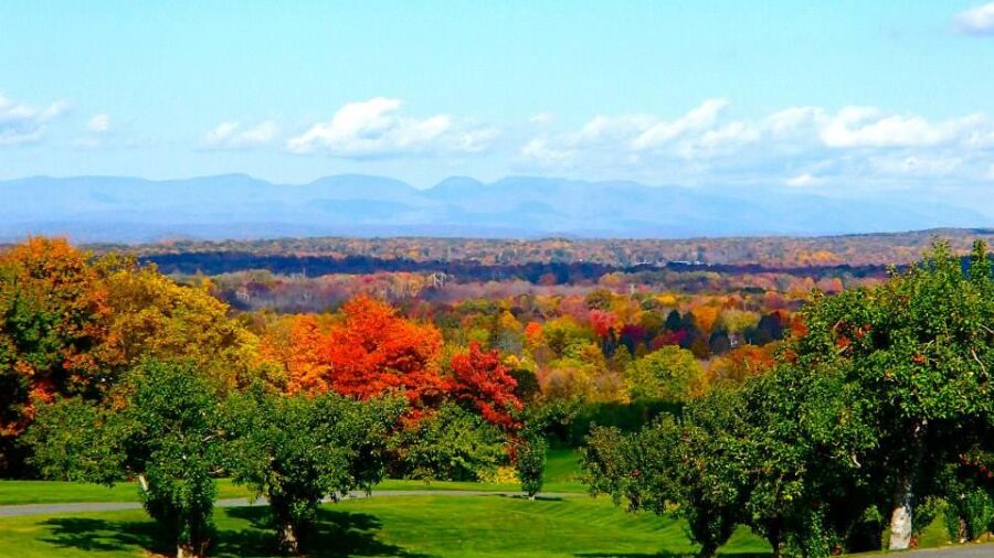 Apple Greens GC