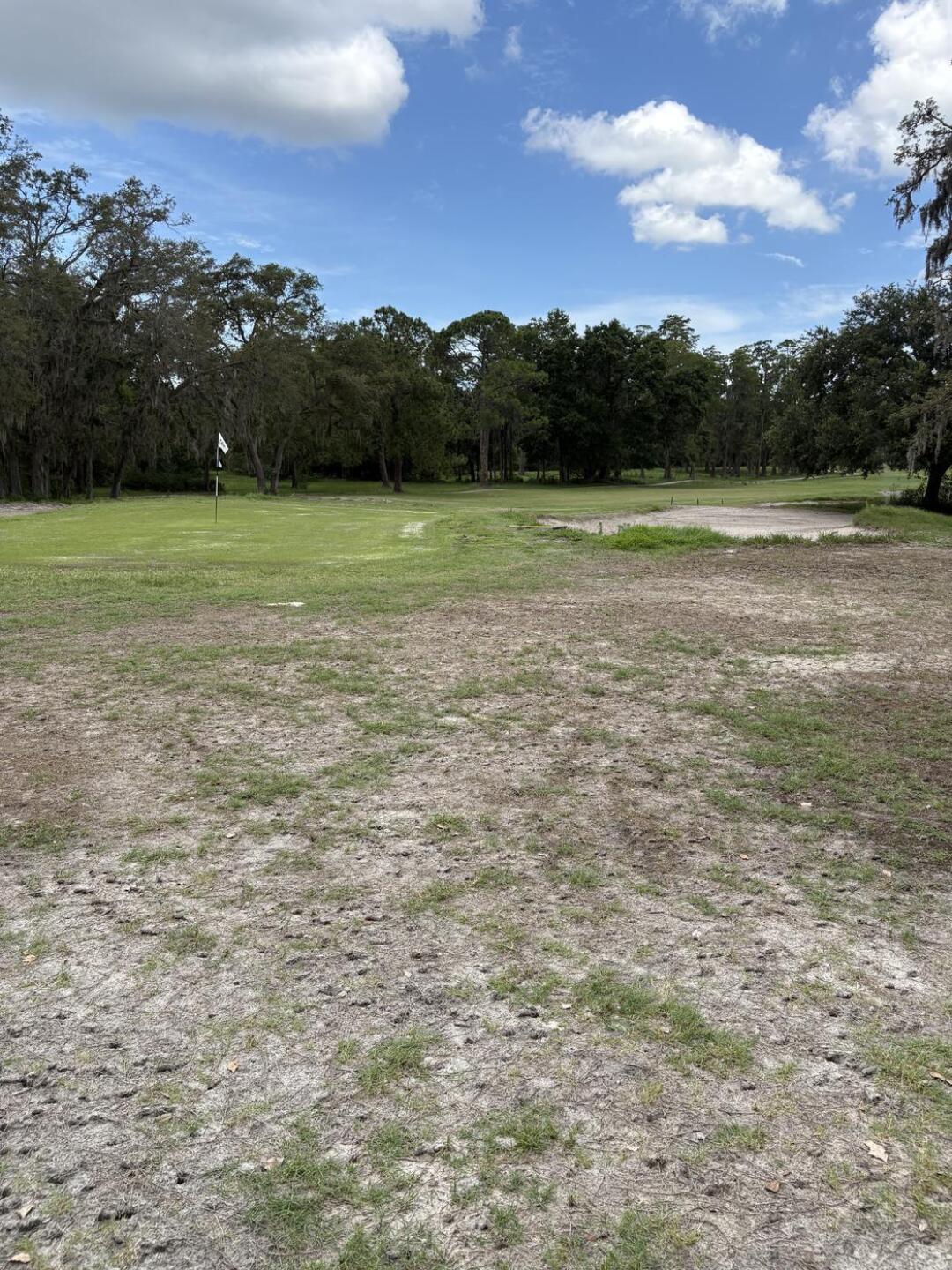 This was one of the nicer greens. (Photo submitted by JCombs15 on 07/01/2025)