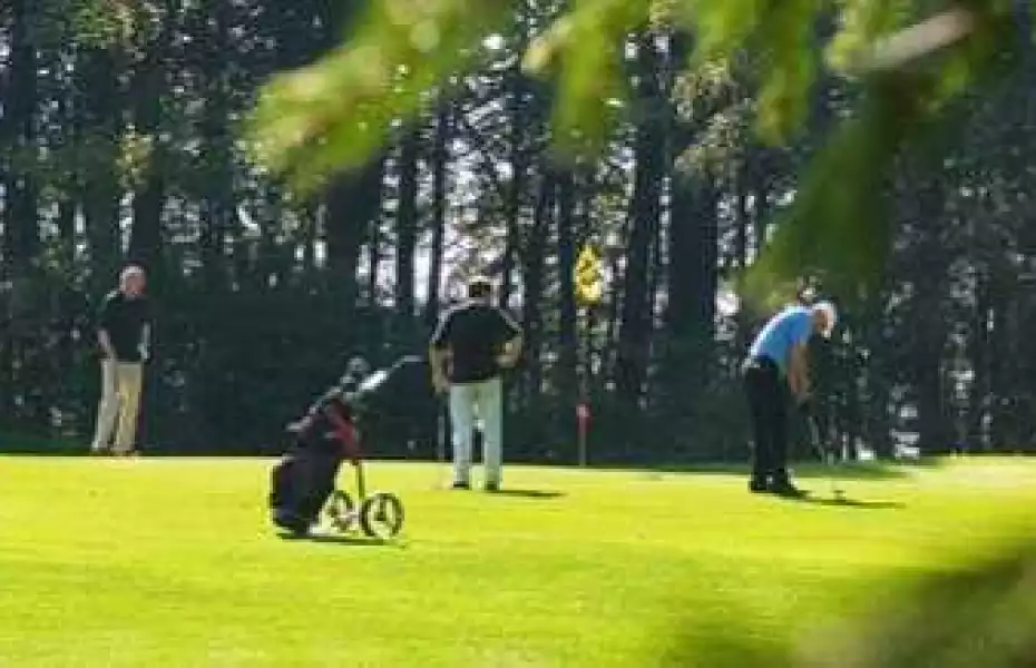 Habichtswald GC: #13