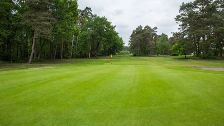 British Army GC Sennelager - Forest Pine: #17