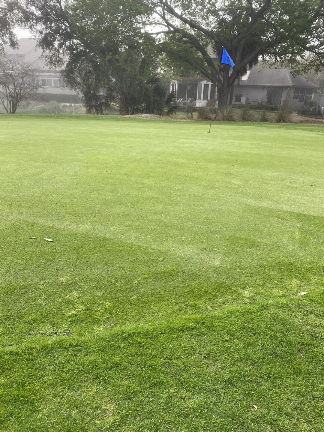 (Photo submitted by u8104361 on 03/08/2022)