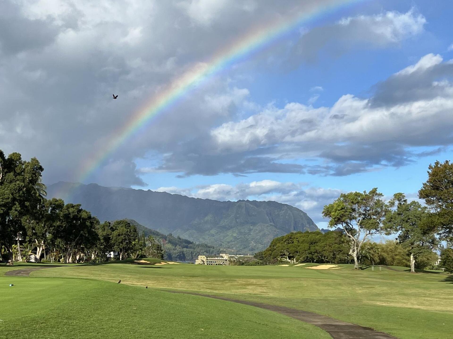 (Photo submitted by u868407234 on 03/27/2023)