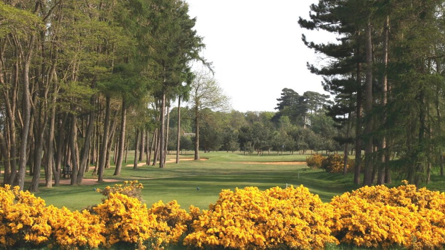 Frilford Heath GC - Blue: #13