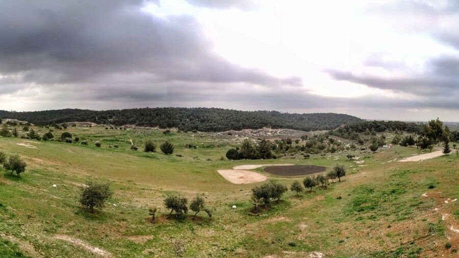 Bisharat GC