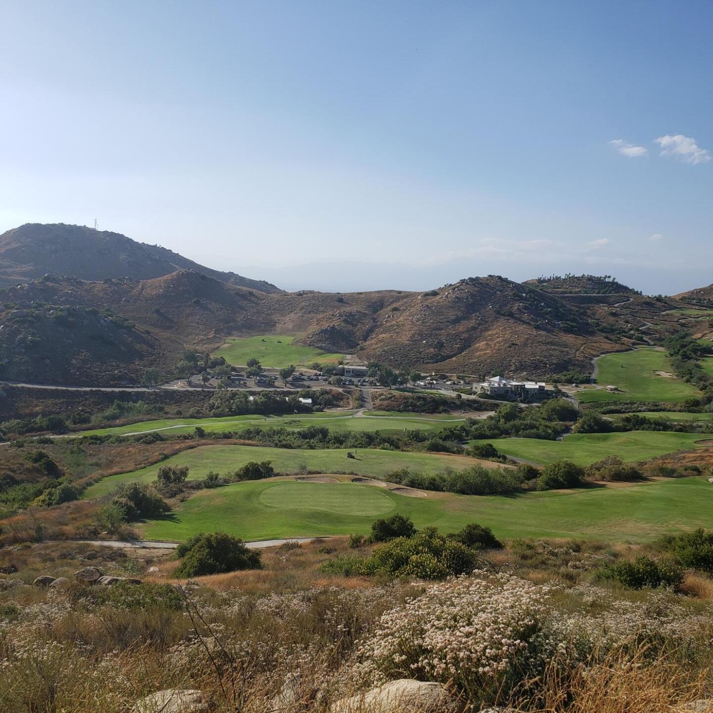 (Photo submitted by u000005926469 on 06/08/2020)