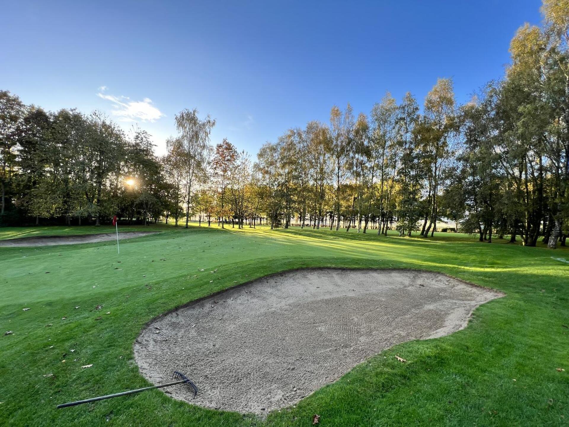 (Photo submitted by Aussieandy on 10/29/2023)