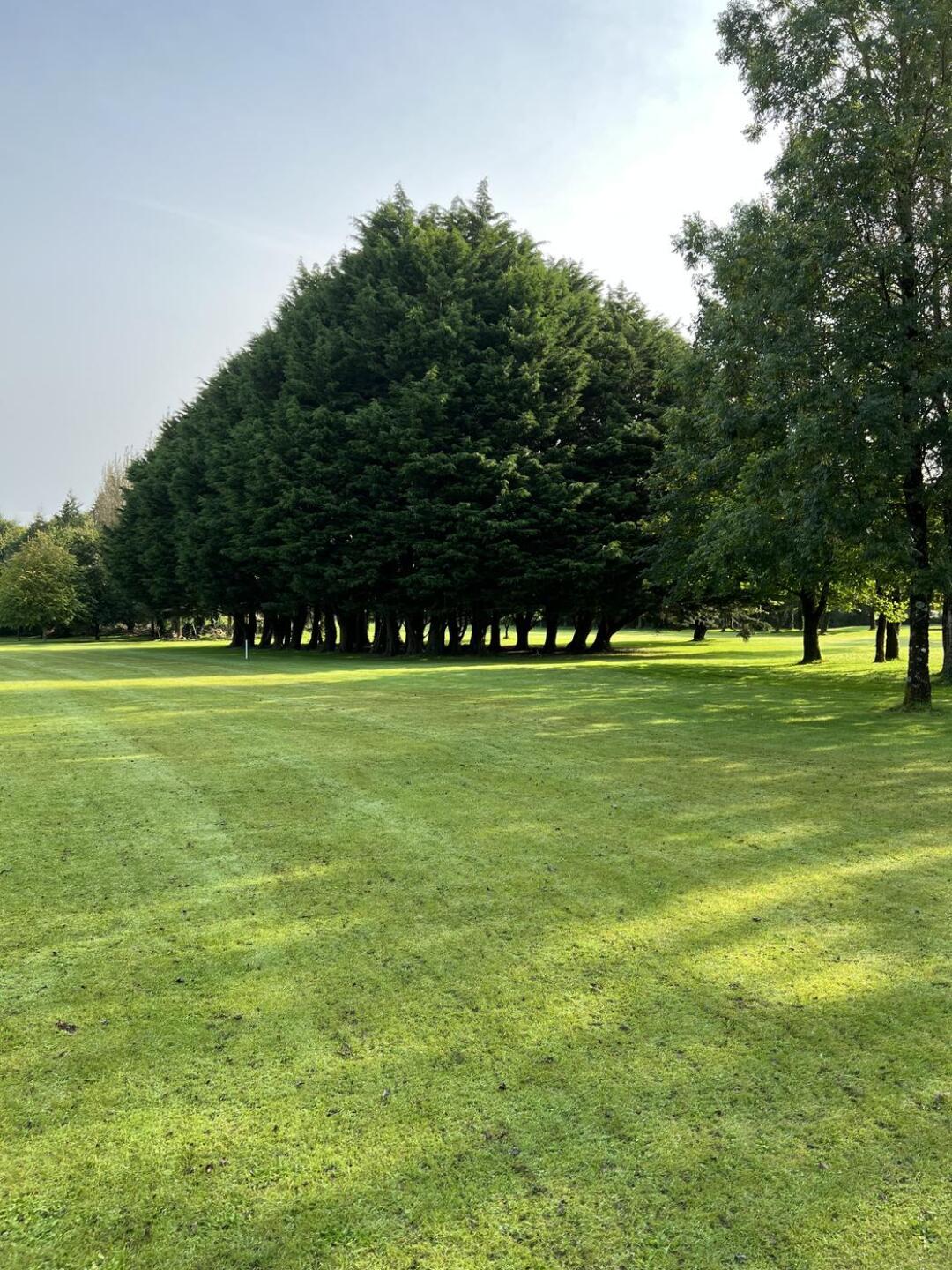 That’s a big um! (Photo submitted by tomapar on 08/30/2023)