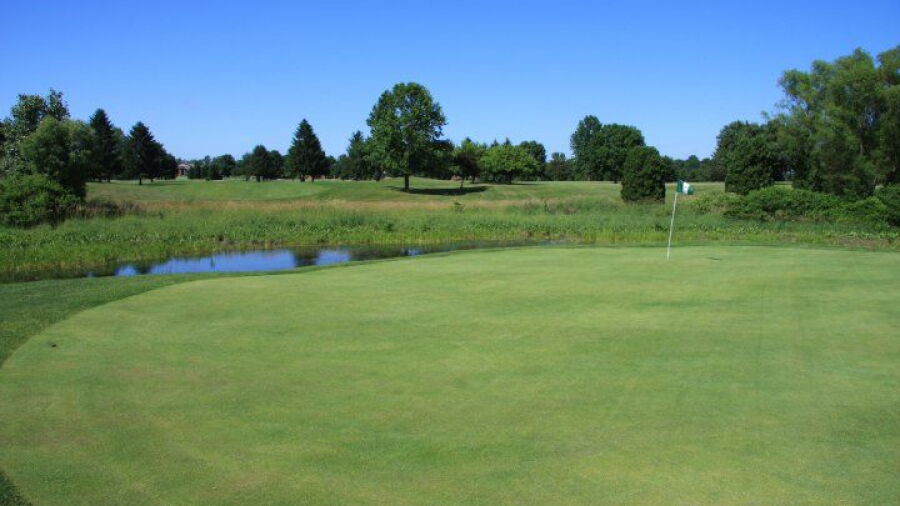 Briar Leaf GC: #3