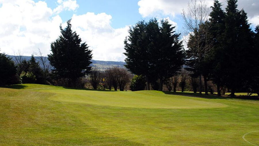 Edmondstown GC: #15