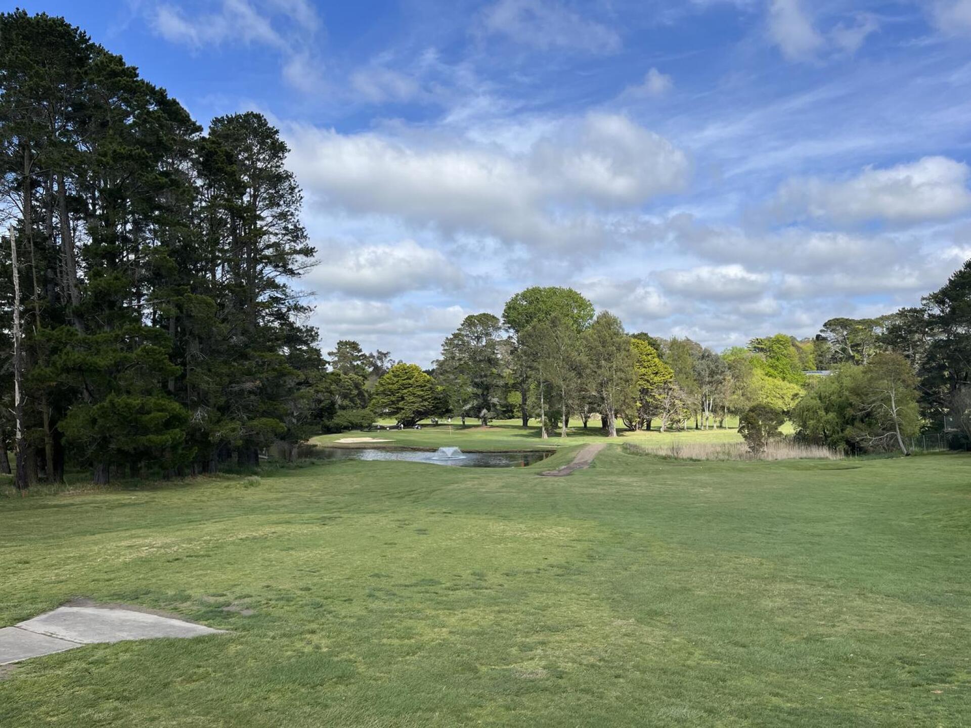 (Photo submitted by GJenkins on 10/11/2024)