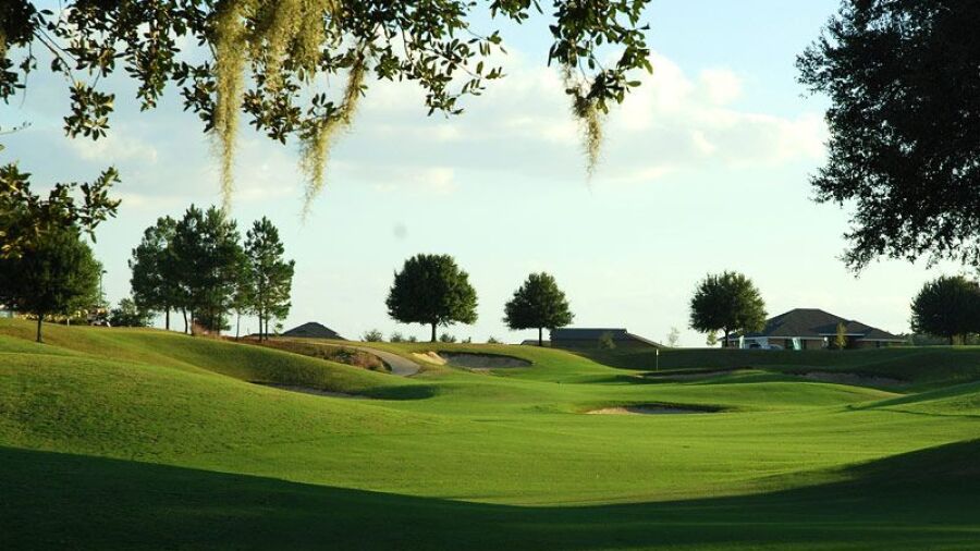 Black Bear GC