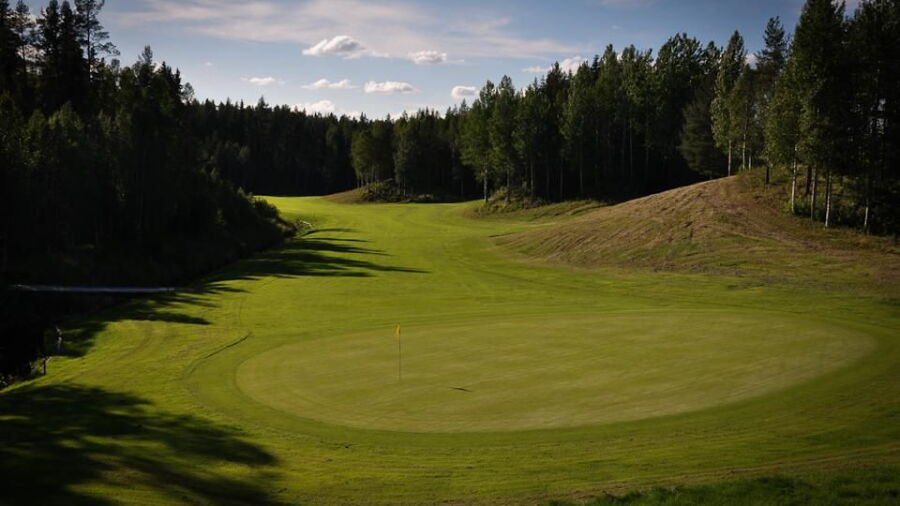 Bjurholms GC: #8