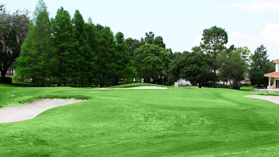 Silverthorn CC: #11