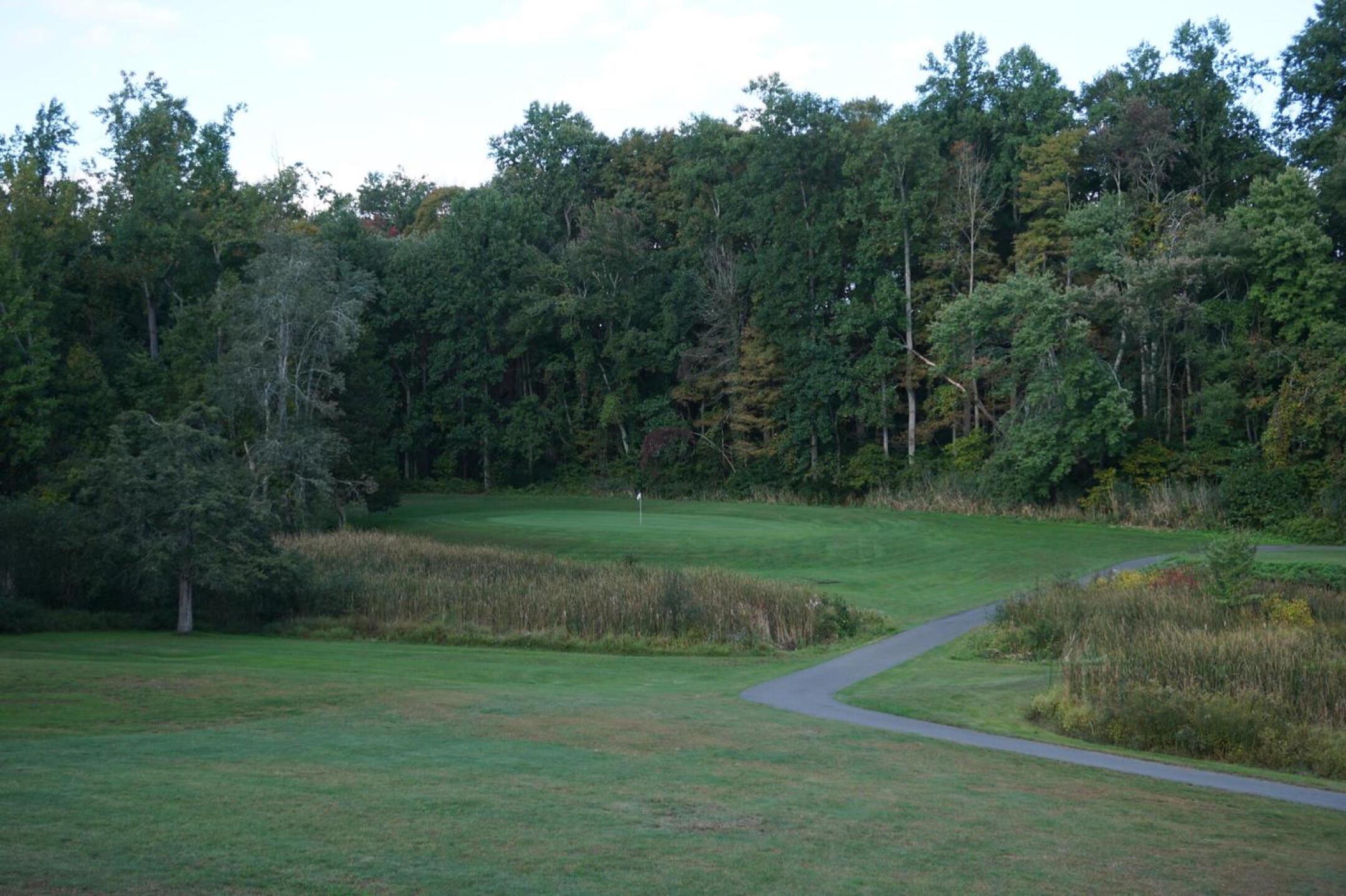 Fifteen, a downhill par-three, is set in the most secluded part of the golf course. (Photo submitted by AptlyLinked on 10/03/2021)