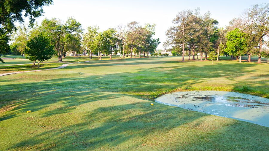 Tomball CC: #11