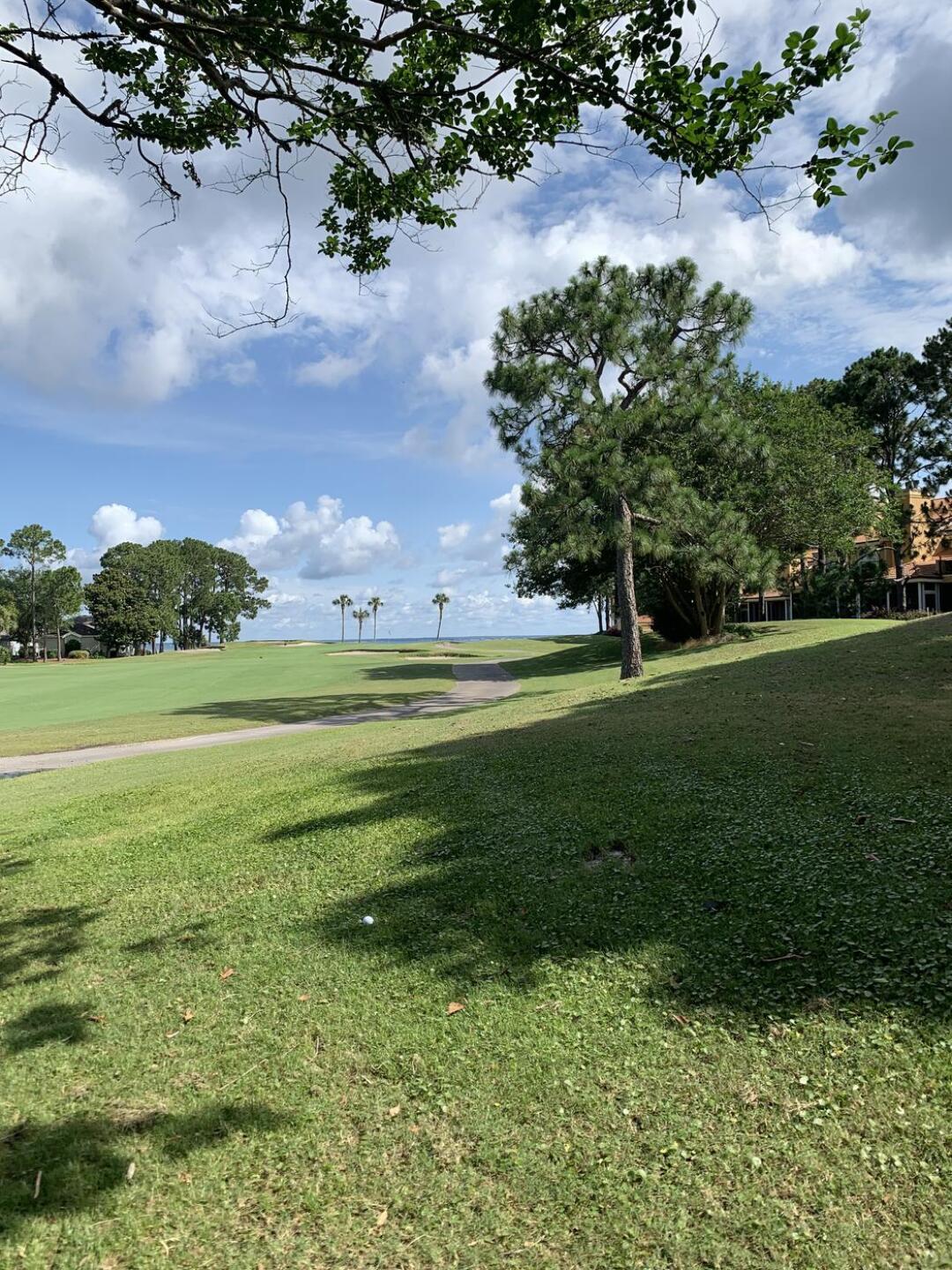 (Photo submitted by tsuffal on 06/08/2022)