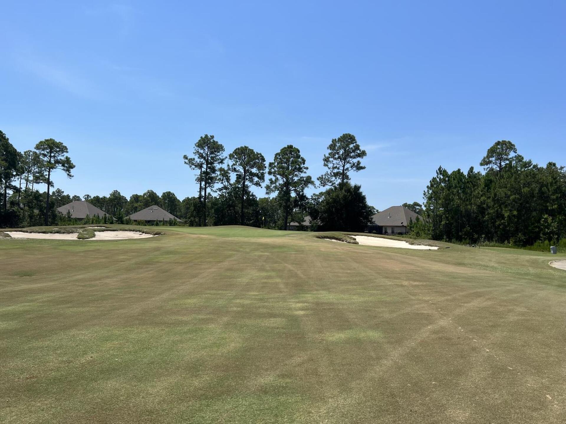 (Photo submitted by dhelmic2 on 08/03/2023)