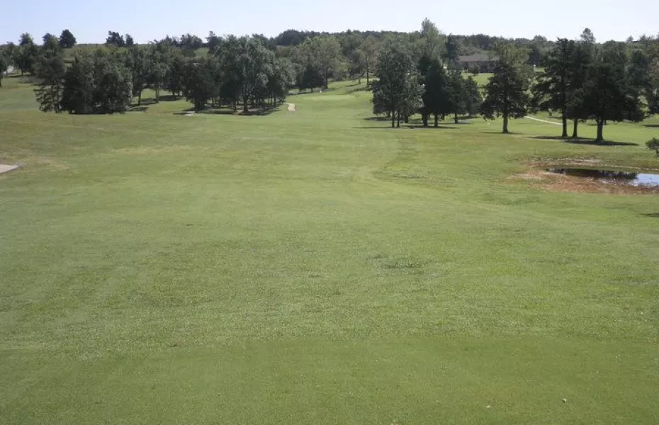 Diamond Hills CC: #1