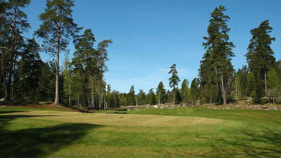 Bjorkhagens GC: #8