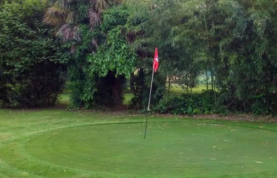 Maggiolino GC