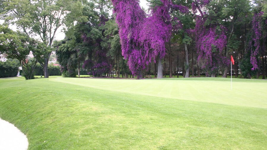 Club de Golf Bellavista
