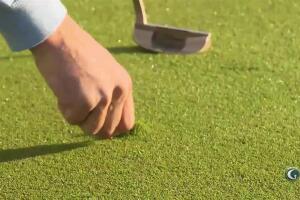 Breed's Basics - Fixing Ball Marks