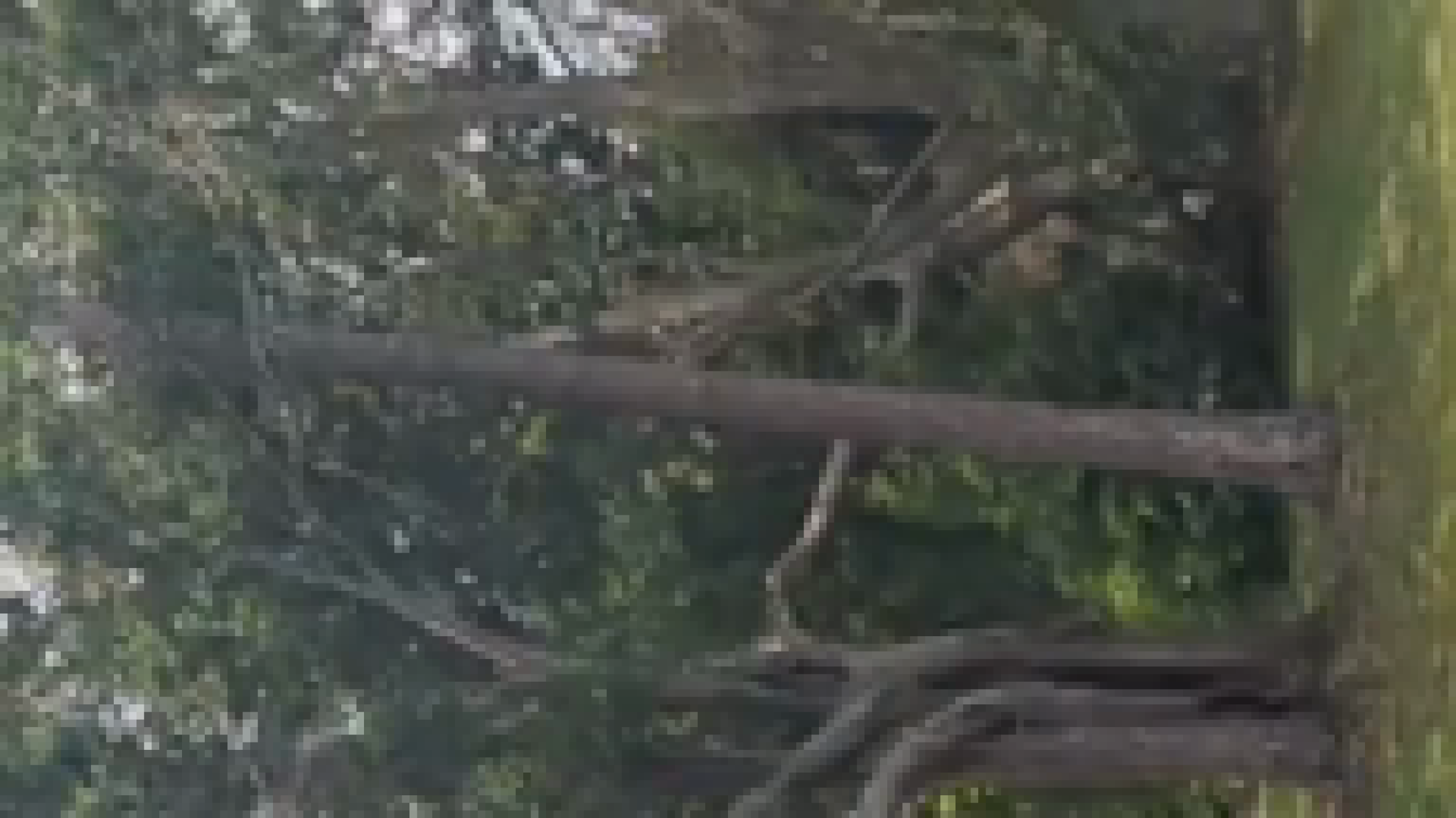 image-00001.png