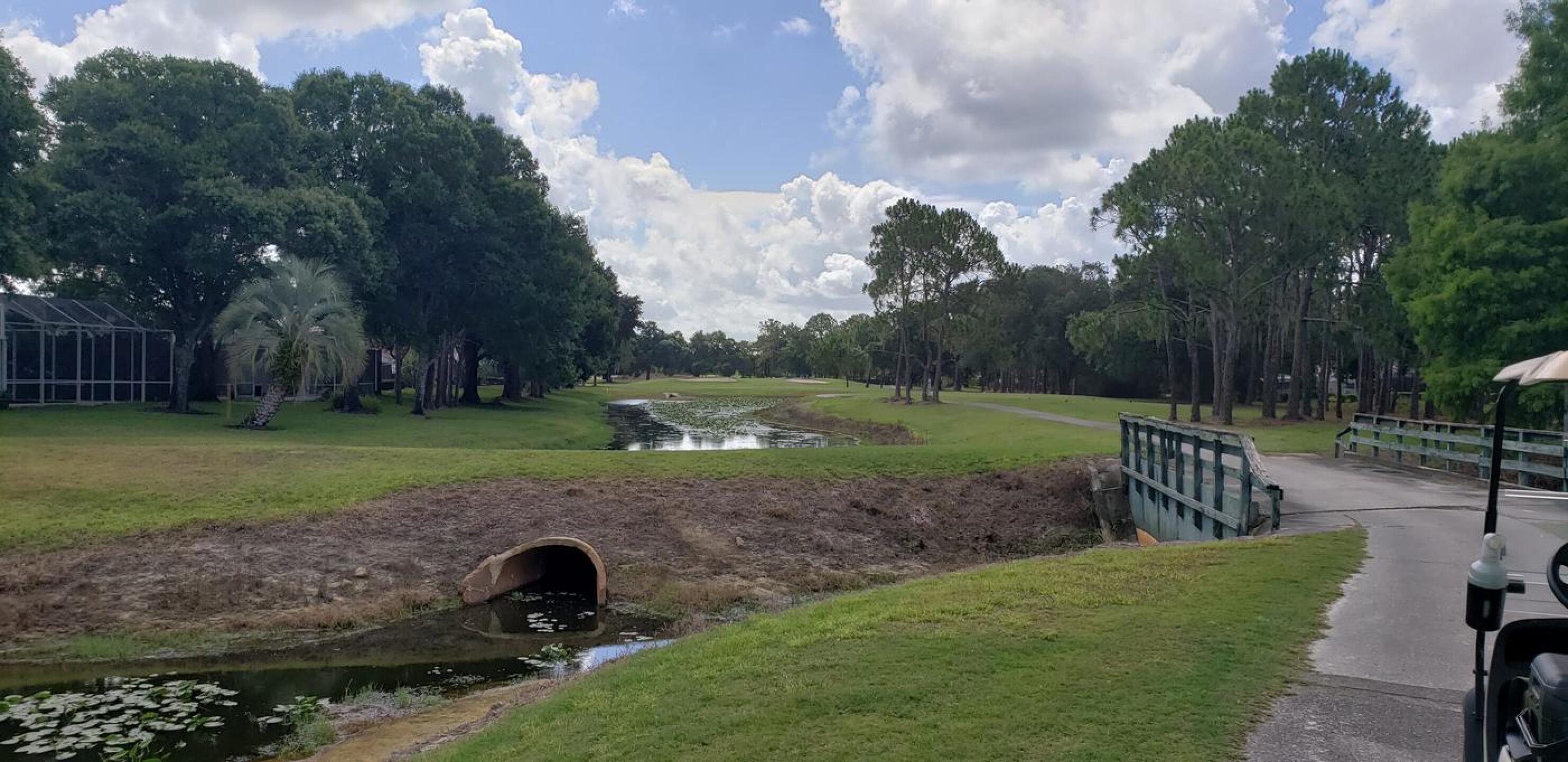 (Photo submitted by wcicerelli on 06/07/2021)