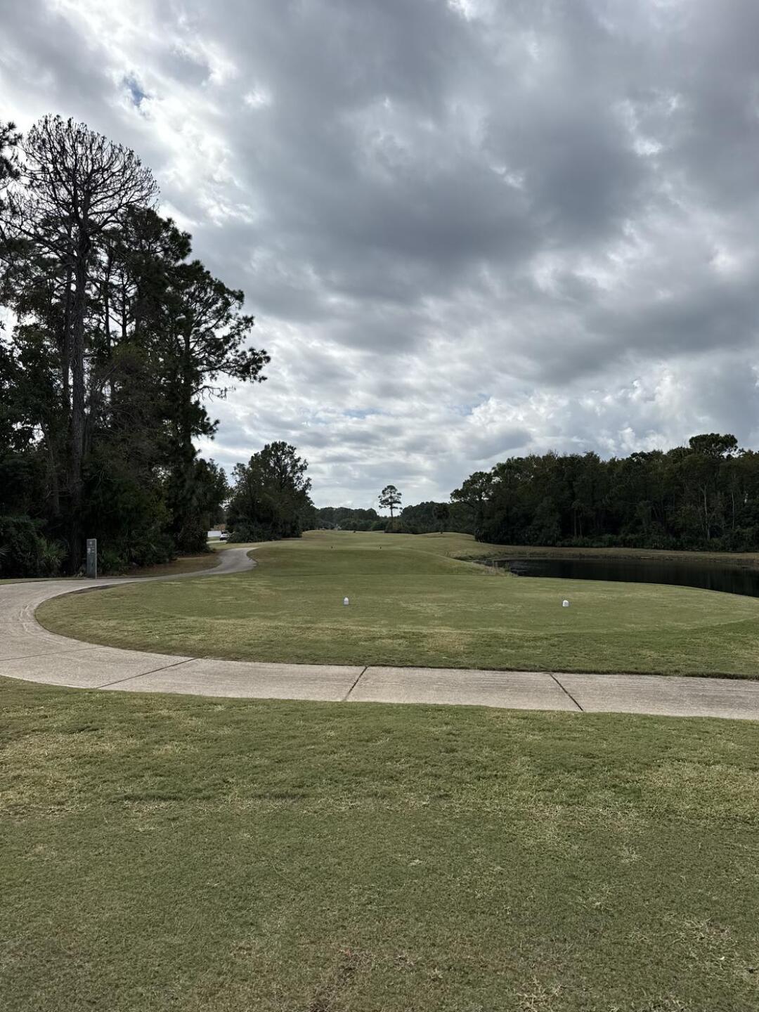 (Photo submitted by cphillips239 on 11/10/2025)