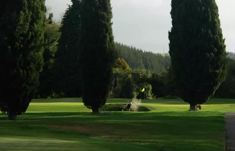 Springfield GC: #3