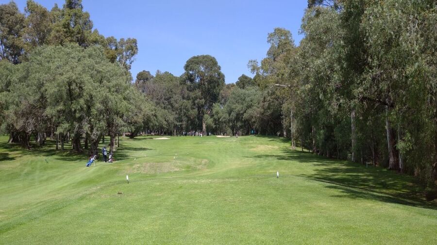 Coral Clubes Golf