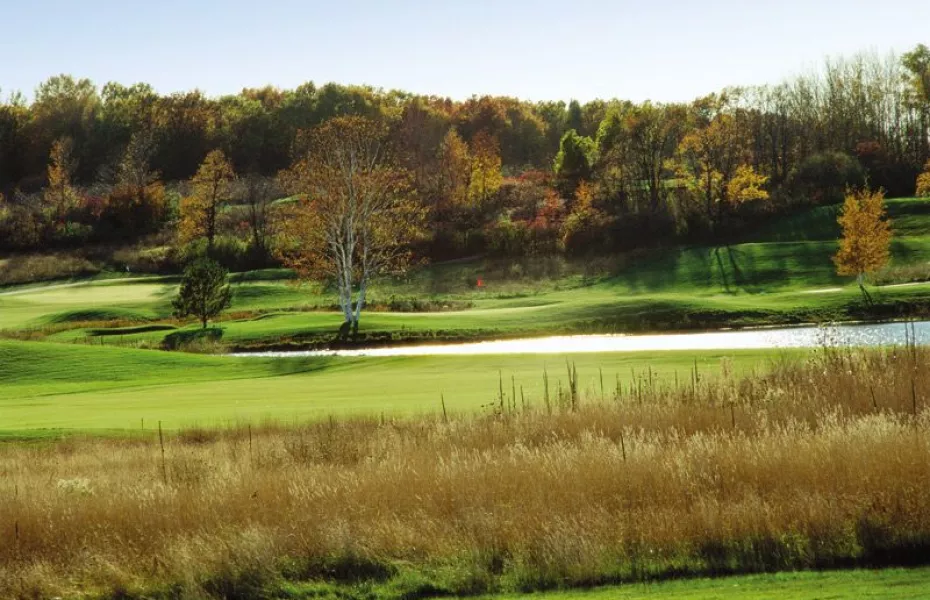 Egg Harbor - The Orchards