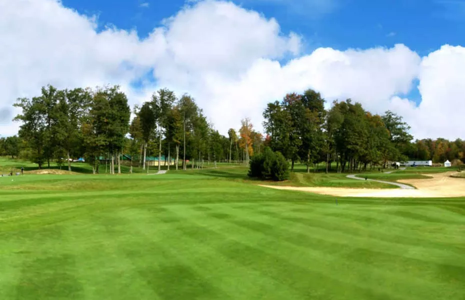 Falcon Golf