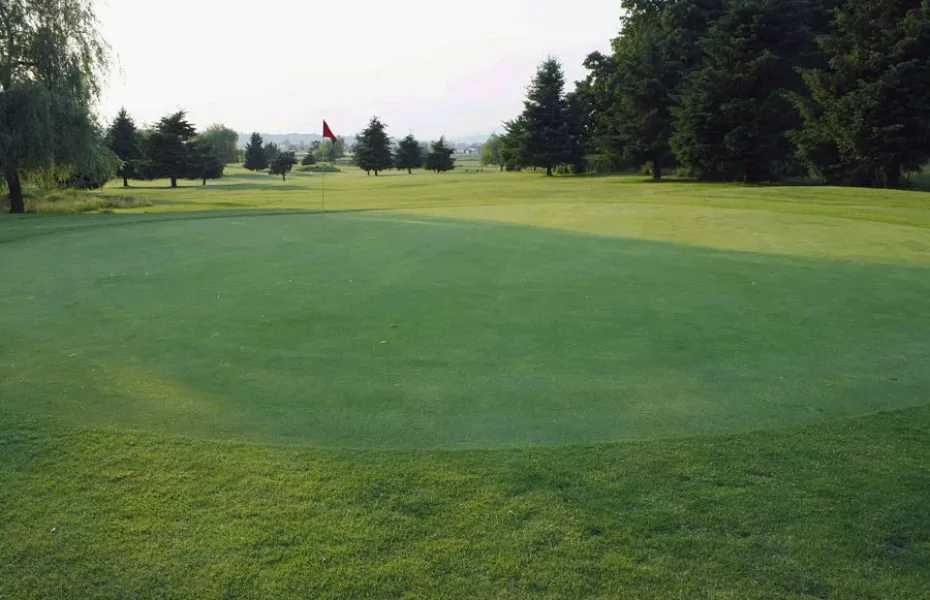 Valley Golf Centre: #8