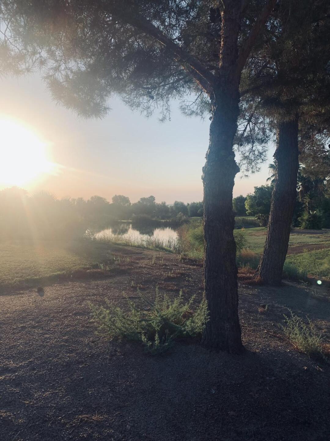 (Photo submitted by u4412644 on 07/12/2025)