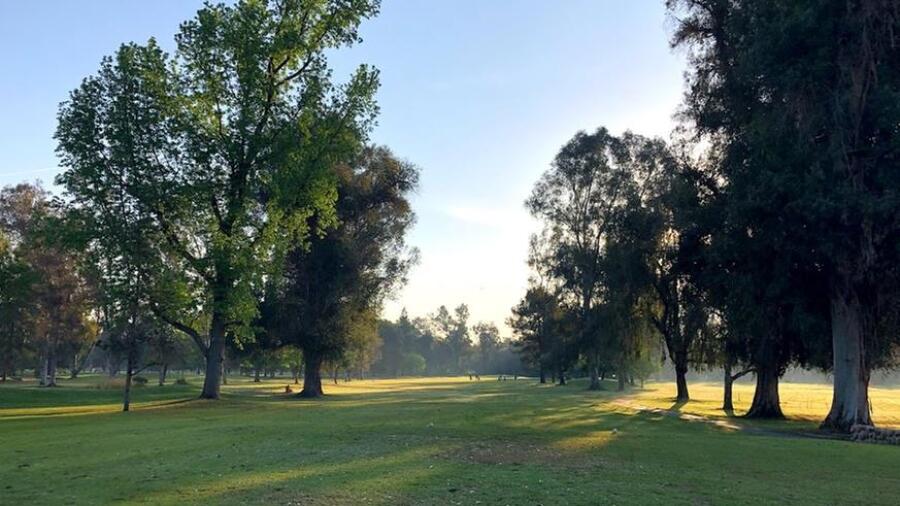 Sherwood Forest - fairway