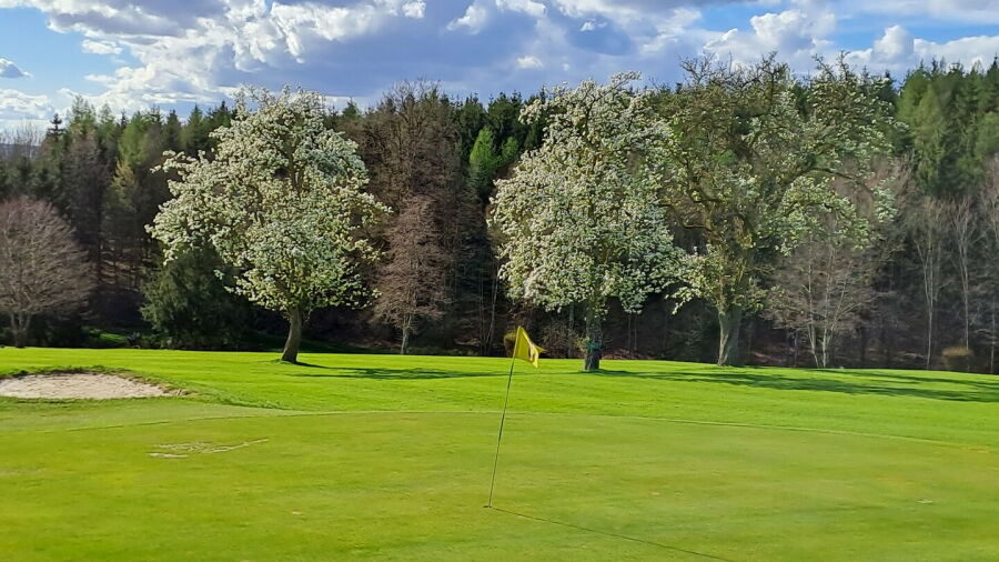 Ueber den Dachern von Passau GC