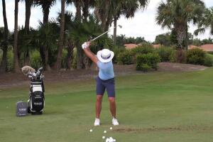 Controlling Your Wedges
