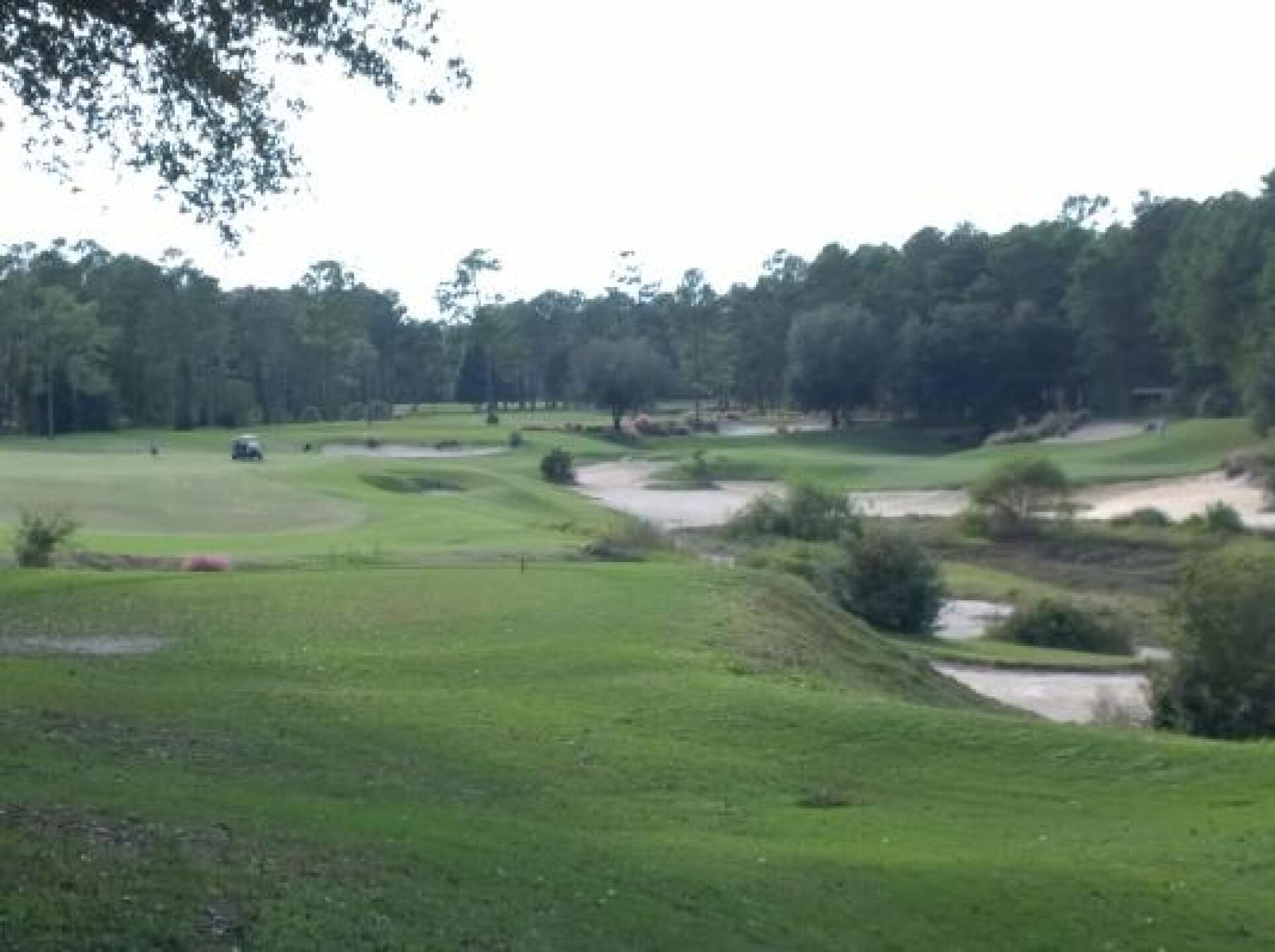 drivable 15th, 322 yds (Photo submitted by hoffy58 on 10/20/2014)