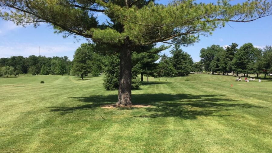 Phil Harris GC