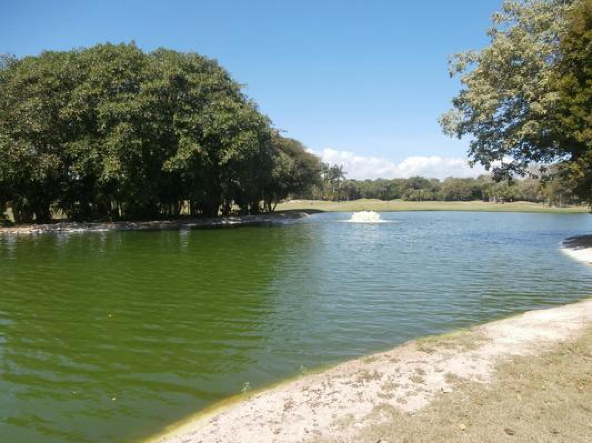 watering hole (Photo submitted by Fuzzer on 03/01/2015)